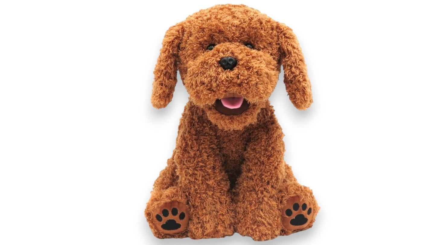 Talking Bear The Doodle  English Version