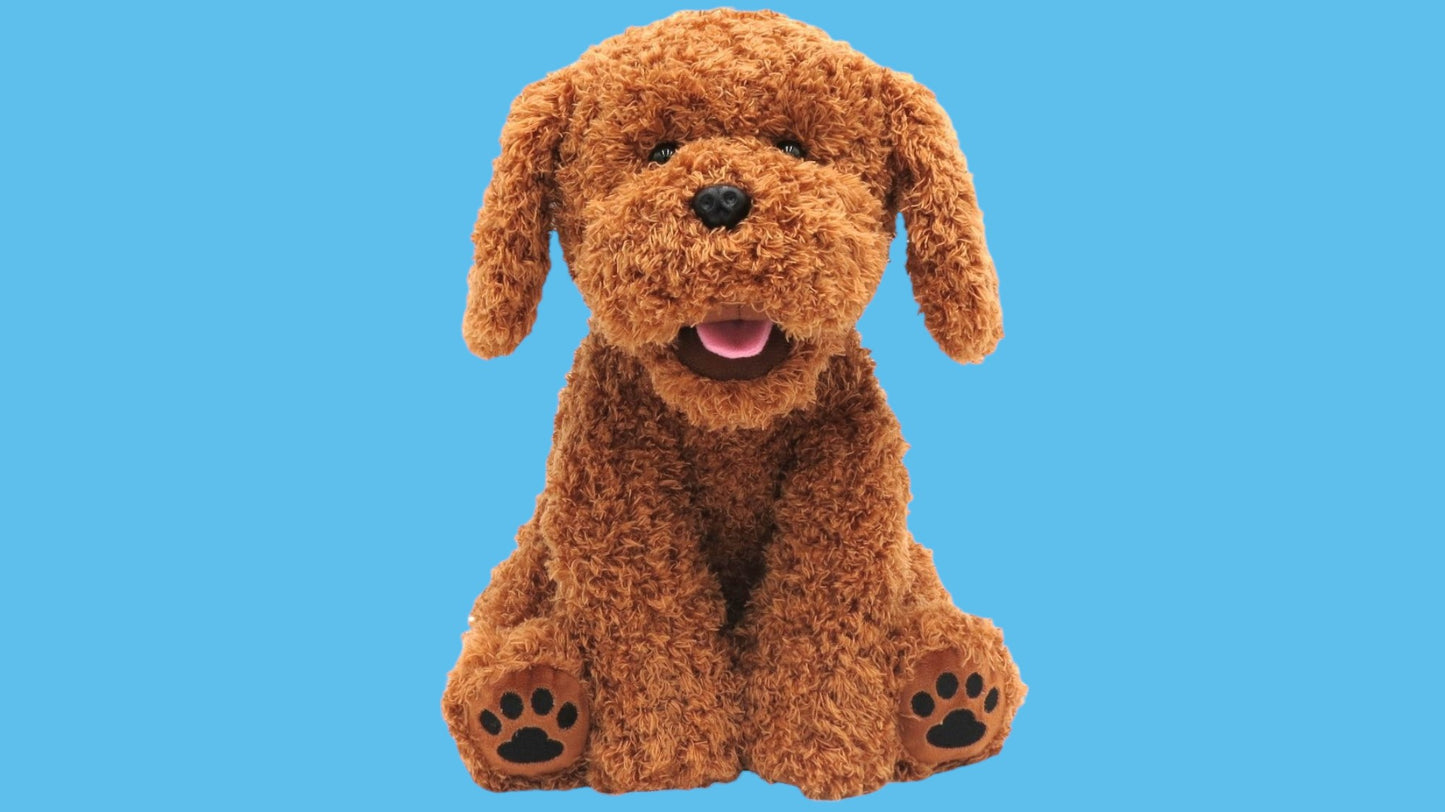 Bear The Doodle Parlante - Versión en Español