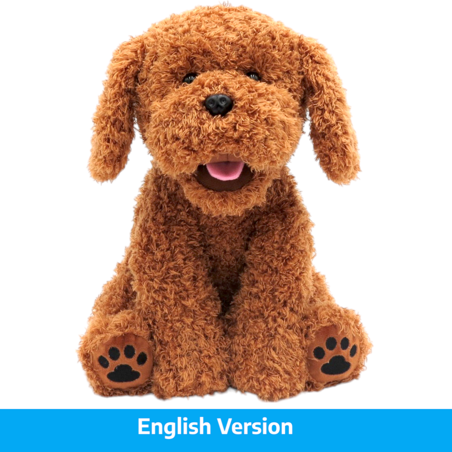 Talking Bear The Doodle  English Version
