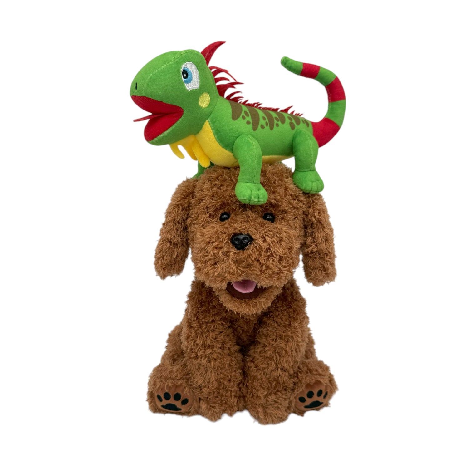 Talking Bear The Doodle  English Version