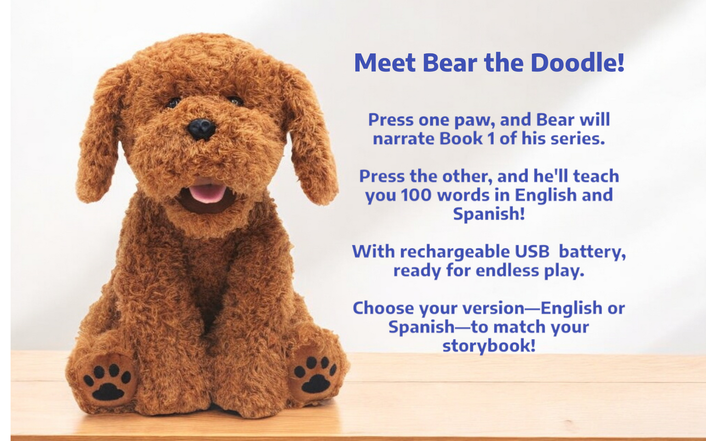 Talking Bear The Doodle  English Version