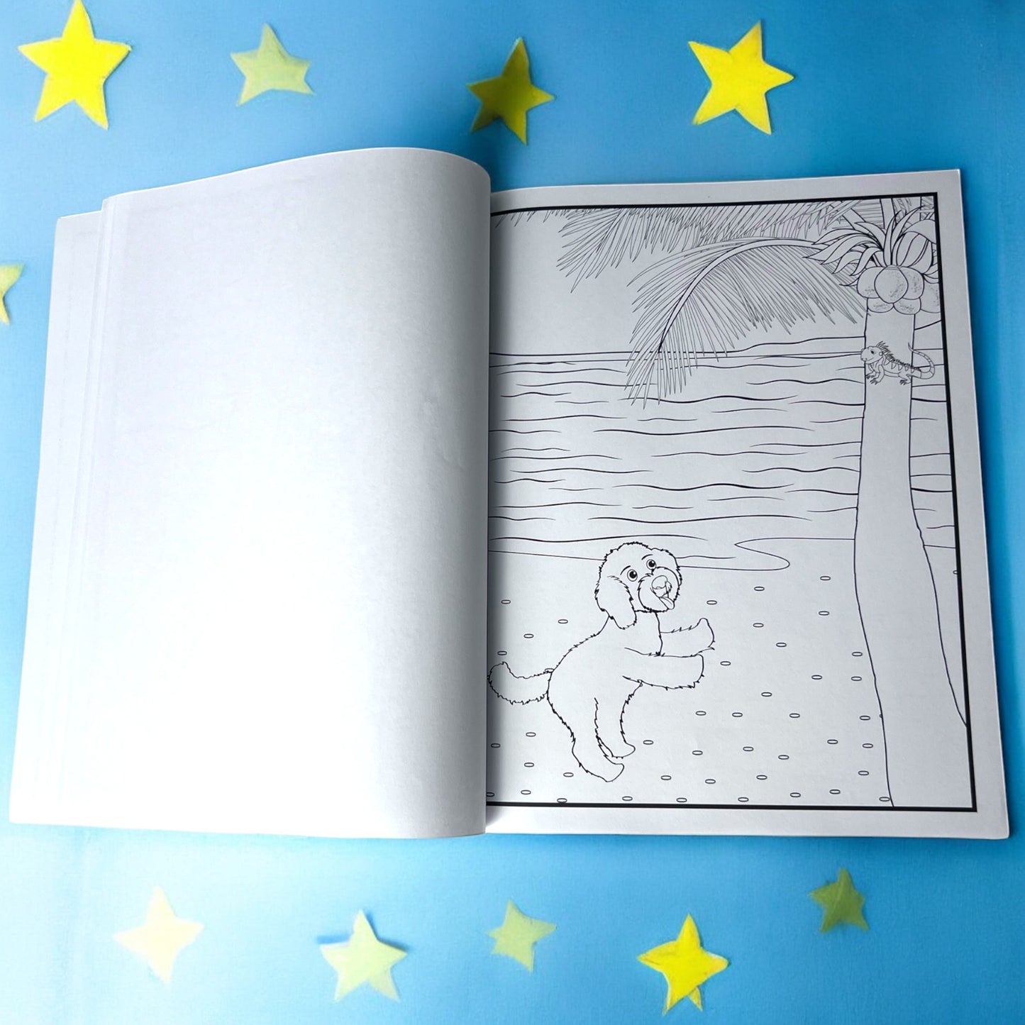 Bear the Doodle Coloring Book