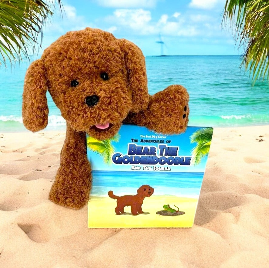 Let's Read Together! English Version Book and Toy Bundle