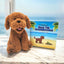 Let's Read Together! English Version Book and Toy Bundle