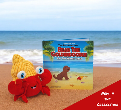 Tico the Hermit Crab and Book 2 – English Version Bundle