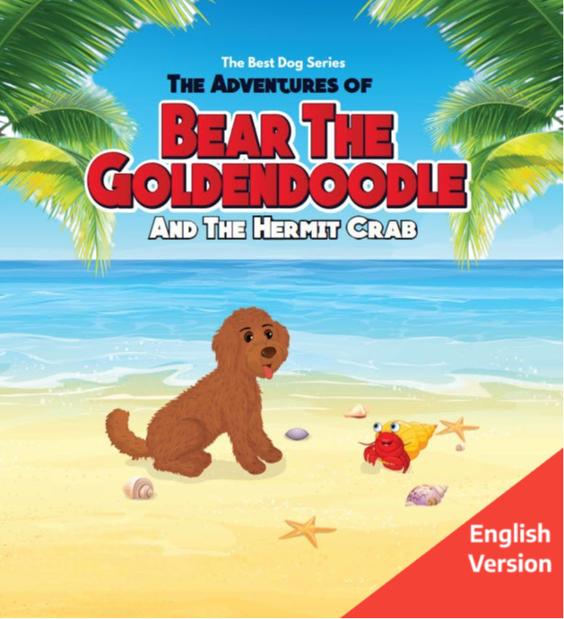 Book | Bear the Doodle and the Hermit Crab | English Version | Hard Cover