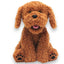 Talking Bear The Doodle  English Version