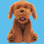 Bear The Doodle Parlante - Versión en Español