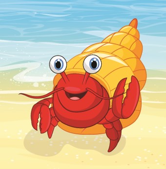 Tico el Cobito-The Hermit Crab