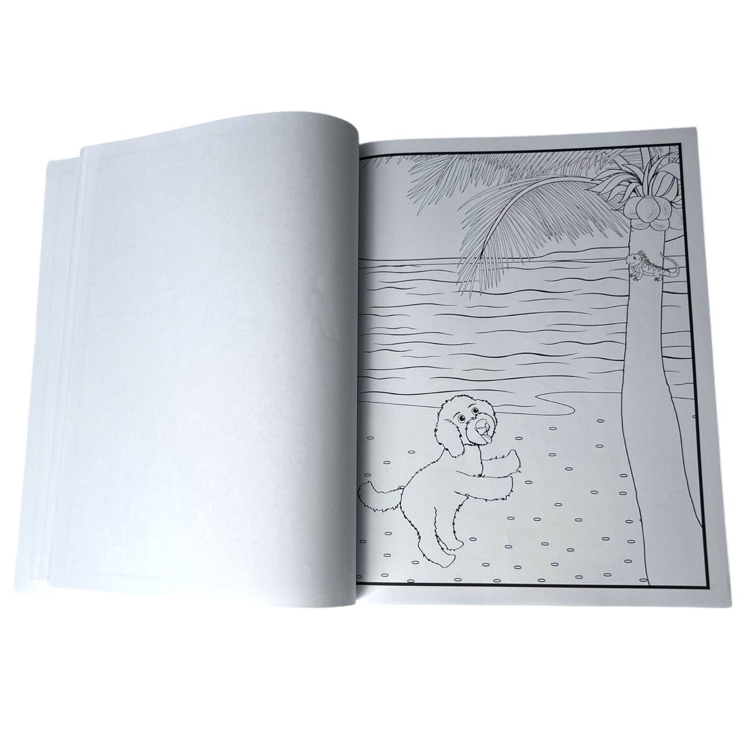 Bear the Doodle Coloring Book