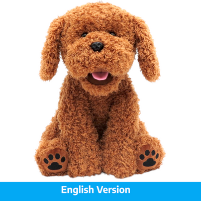 Talking Bear The Doodle    English Version