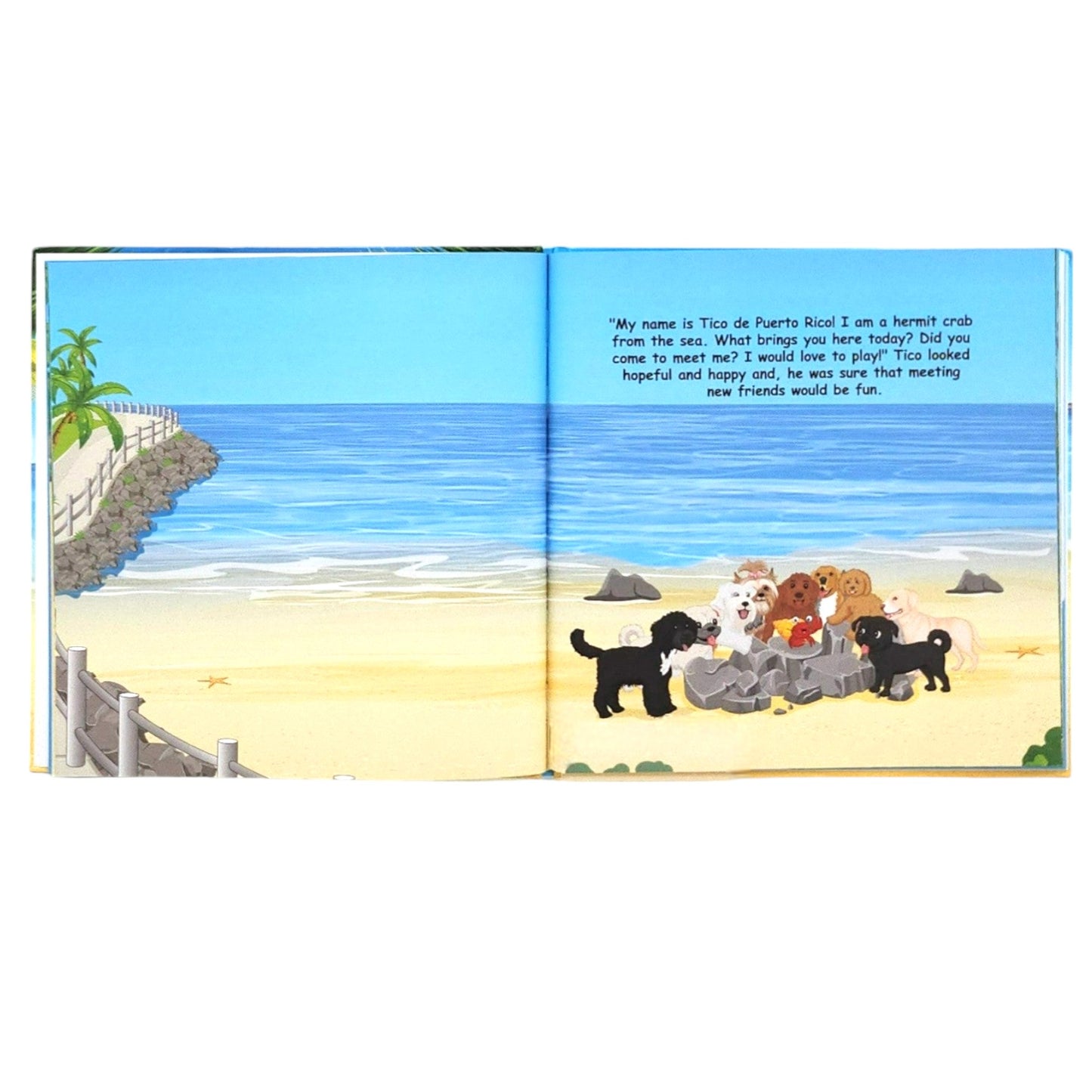 Book | Bear the Doodle and the Hermit Crab | English Version | Hard Cover