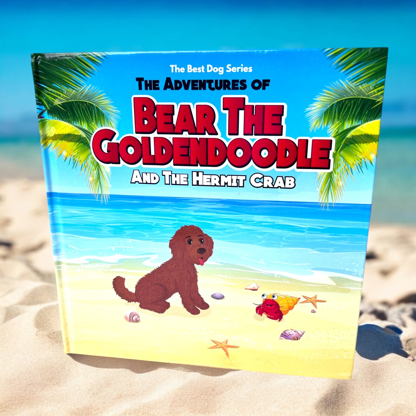 Book | Bear the Doodle and the Hermit Crab | English Version | Hard Cover