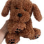 Bear the Doodle Plush Toy | Peluche