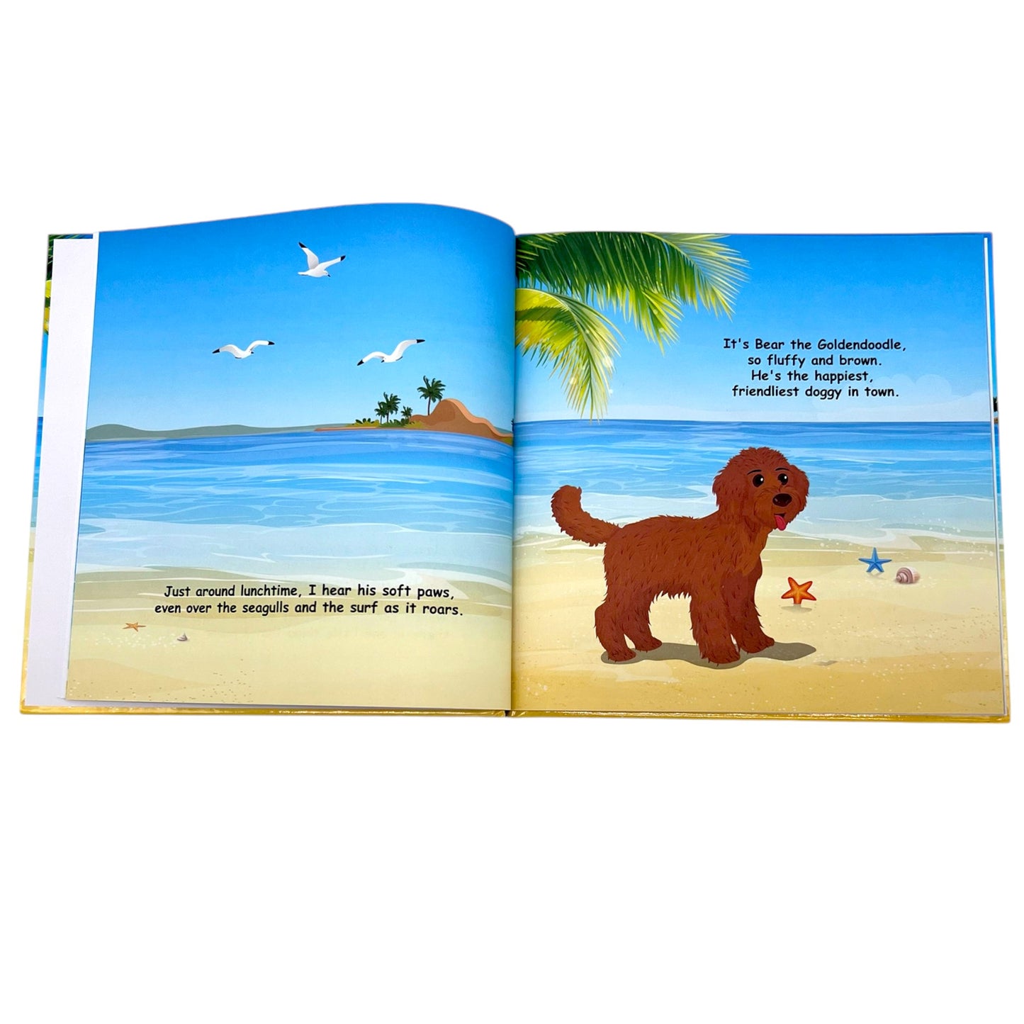 Book | Bear the Doodle and the Iguana | English Version | Hard Cover