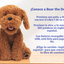 Bear The Doodle Parlante - Versión en Español