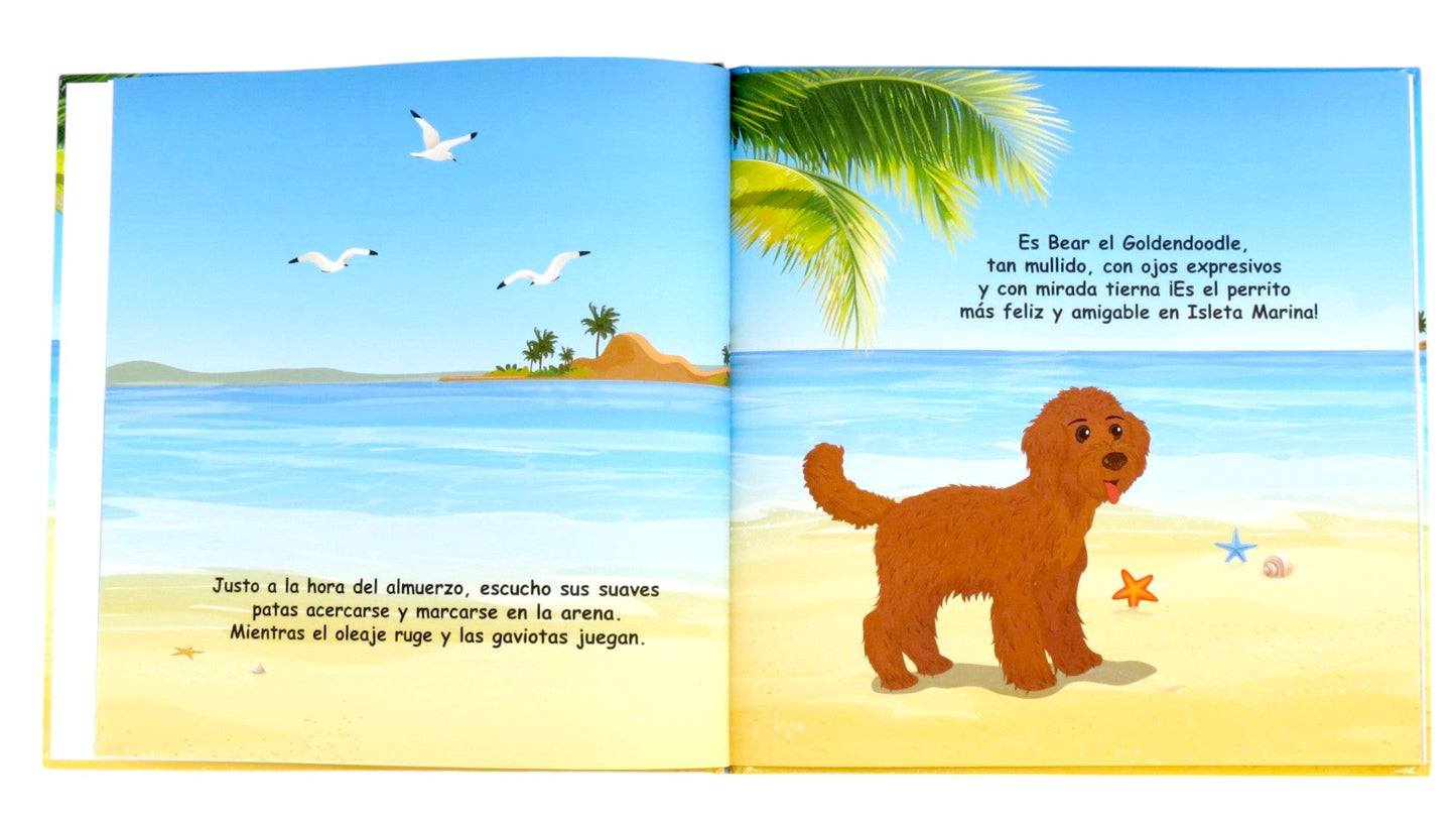 Libro | Bear the Doodle y la Iguana | Edición en español | Carátula dura